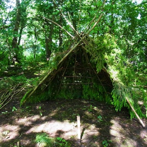 Shelter Building Experience - Leicestershire - Field Sport UK